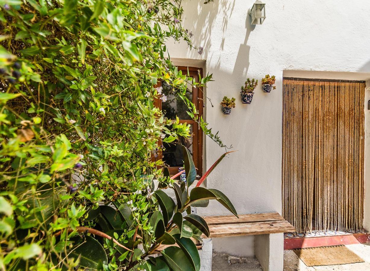 Casa Mundo - 16Th Century Traditional White Village House With Pool Pinos del Valle المظهر الخارجي الصورة